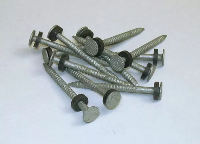 Taylor 96028 Galvanized #6 Nails w/Washers 1/8# 12/Cd